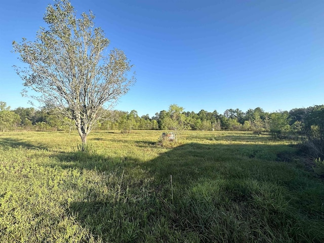 view of nature featuring a rural view