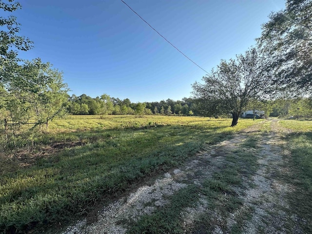 view of yard featuring a rural view