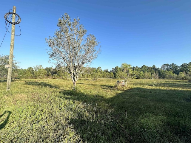 view of nature with a rural view