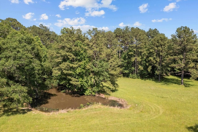 3210 Fm 3065, Colmesneil, TX 75938 - photo 2