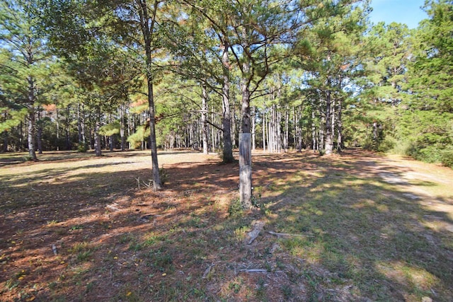 00 Pr 8368, Woodville TX, 75979 land for sale