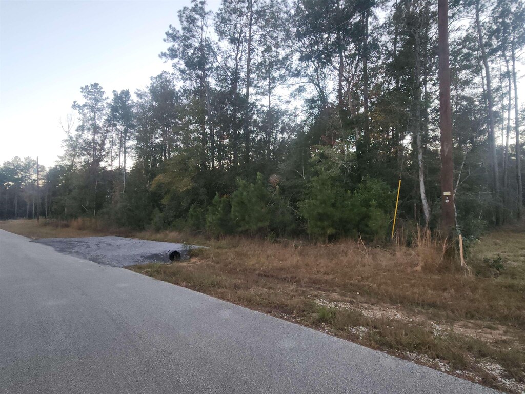 10830 Rock Creek Rdg, Kountze, TX 77625 - photo 1