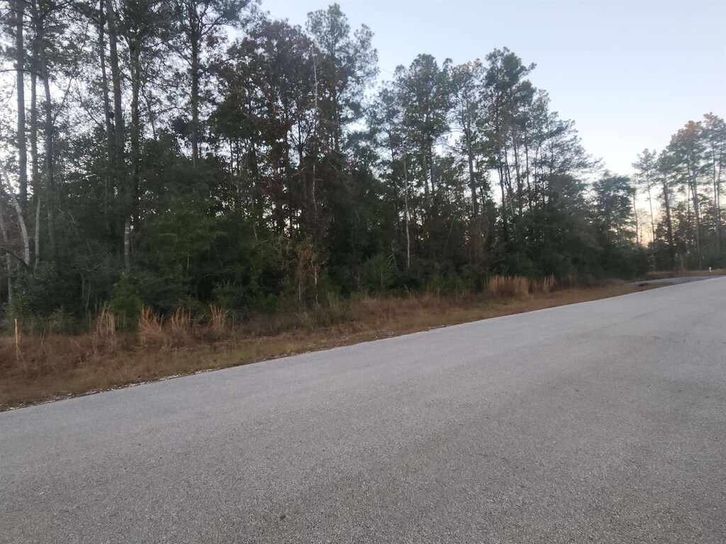 10830 Rock Creek Rdg, Kountze, TX 77625 - photo 2
