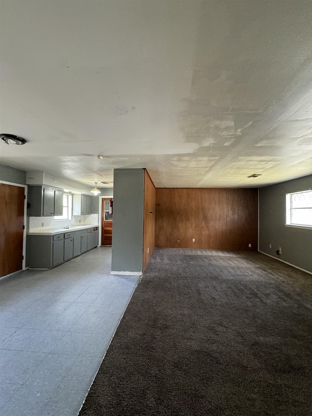 interior space featuring wood walls and sink