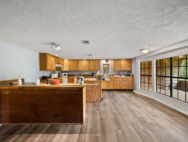 19995 S Fm 92, Fred, TX 77616 - kitchen with wood finished floors, a textured ceiling, a peninsula, under cabinet range hood, and light countertops