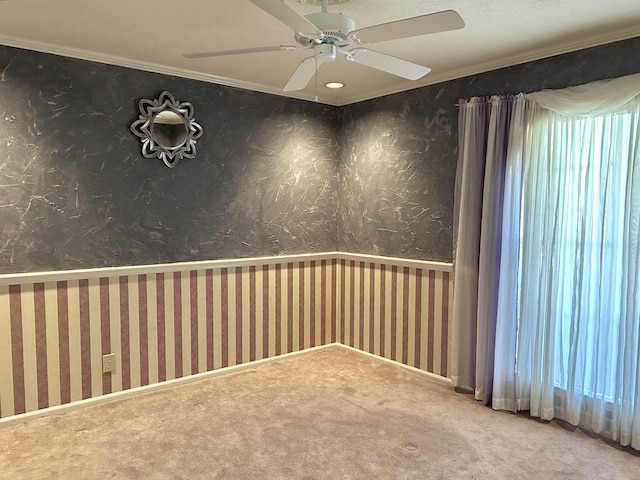 carpeted spare room with ceiling fan and ornamental molding