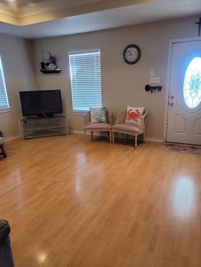 foyer entrance featuring a raised ceiling and light hardwood / wood-style floors