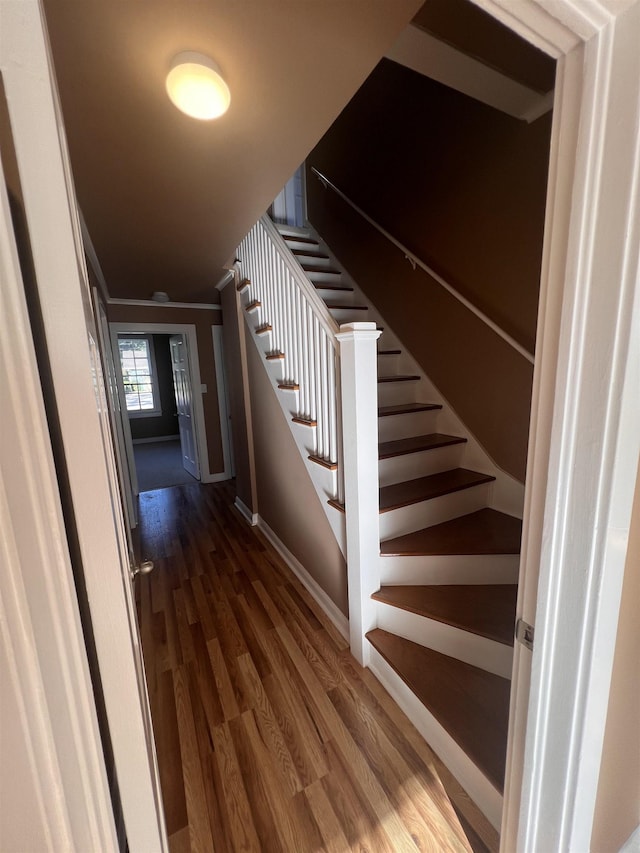 stairs featuring hardwood / wood-style flooring