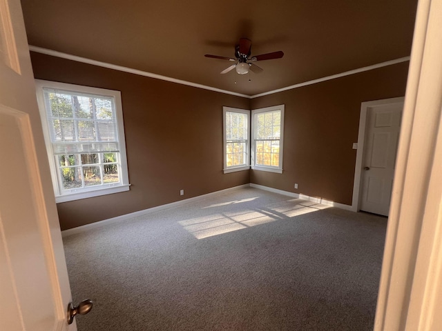 unfurnished room featuring crown molding, ceiling fan, and carpet