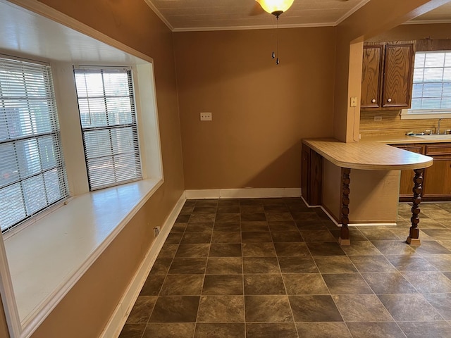 unfurnished dining area with a healthy amount of sunlight, crown molding, and sink