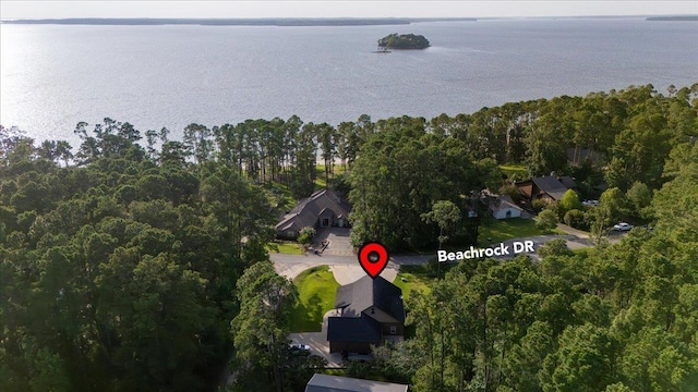 1291 Beachrock Dr, Brookeland, TX 75931 - view of property location with a large body of water and a forest