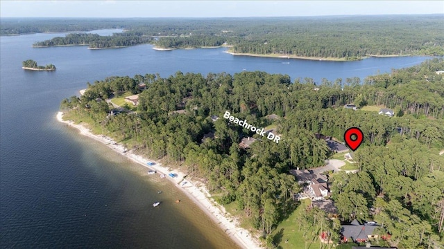 1291 Beachrock Dr, Brookeland, TX 75931 - aerial view of property's location featuring a forest and a large body of water