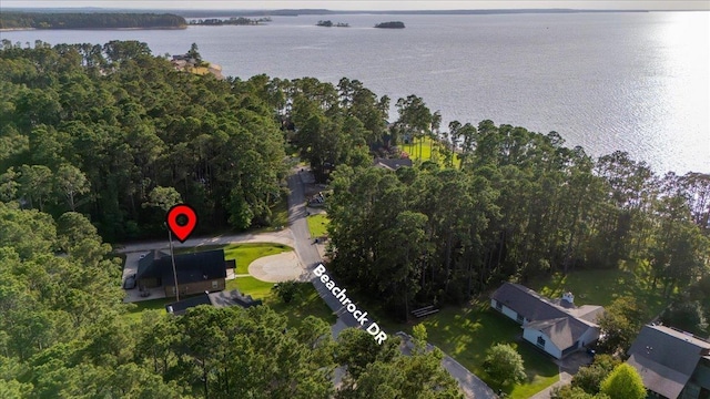 1291 Beachrock Dr, Brookeland, TX 75931 - aerial view of property and surrounding area with a large body of water