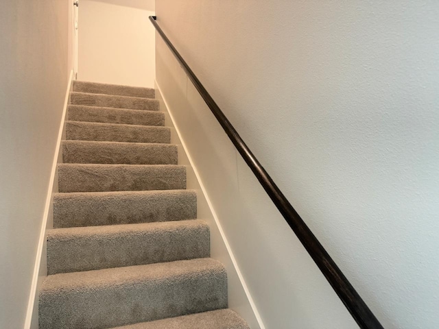 staircase with carpet floors