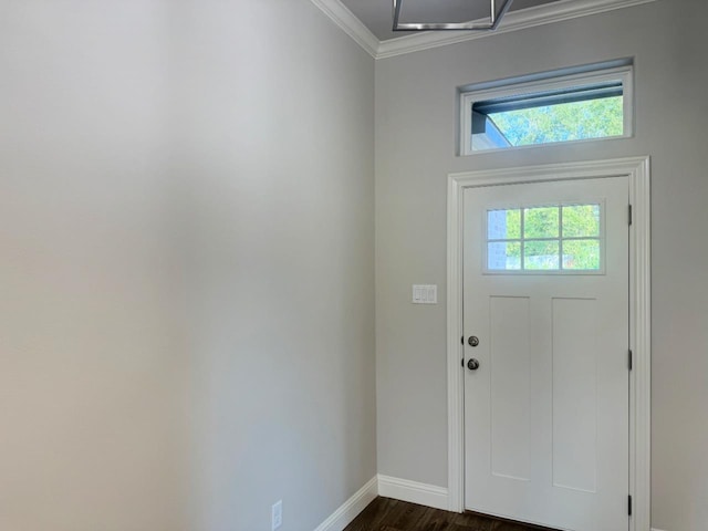 entryway featuring crown molding and dark hardwood / wood-style floors