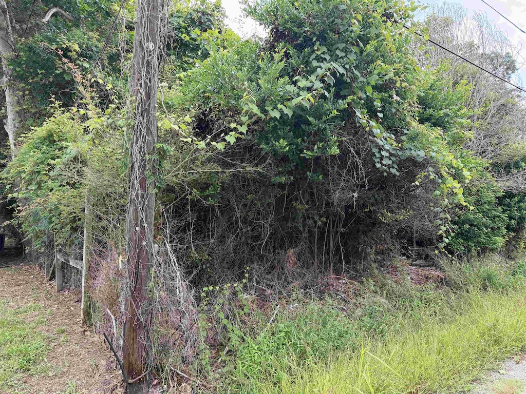 808 W Hart, Orange, TX 77630 - photo 2