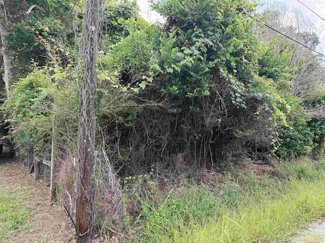 808 W Hart, Orange, TX 77630 - photo 2