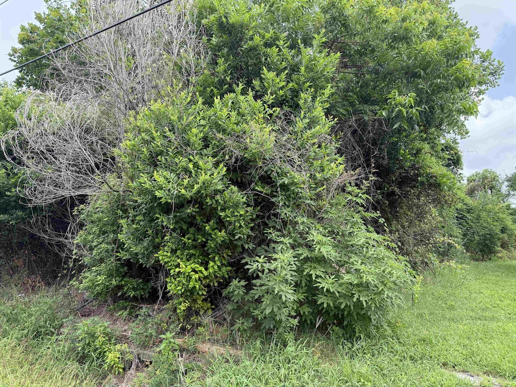 808 W Hart, Orange, TX 77630 - photo 1