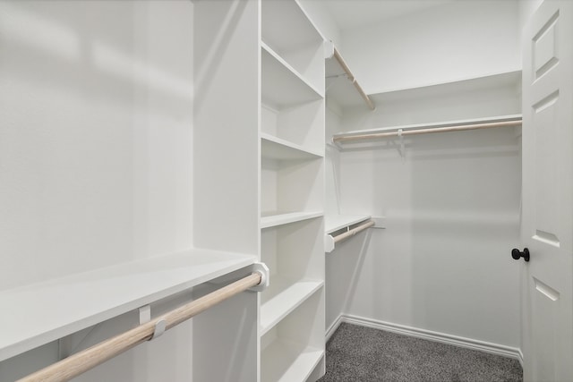 9896 Golden Ln, Lumberton, TX 77657 - walk in closet with carpet flooring