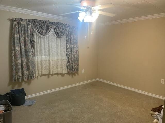 carpeted empty room featuring ceiling fan and ornamental molding