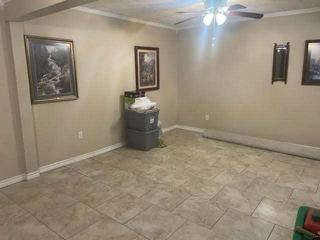 spare room with ceiling fan and ornamental molding