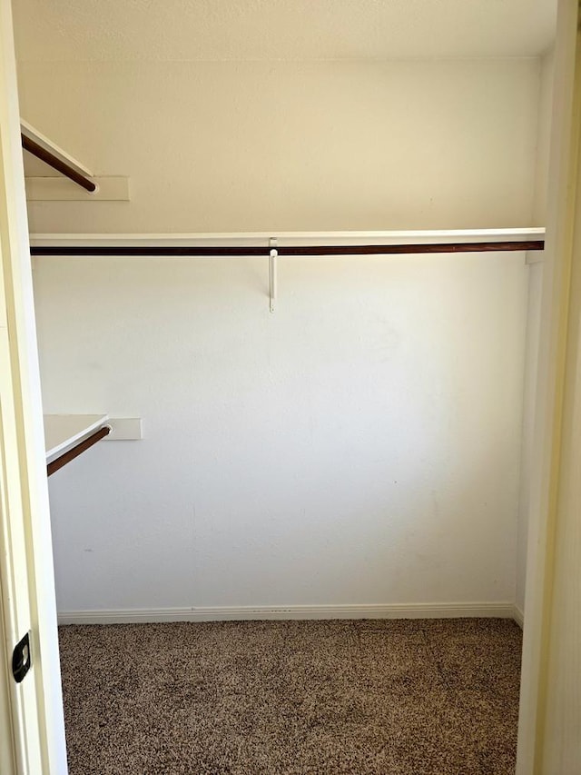 spacious closet with carpet floors