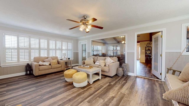 living room with ceiling fan, dark wood-type flooring, and ornamental molding