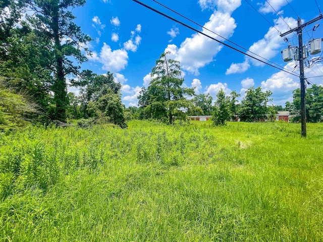 205 Archie, Vidor, TX 77662 - photo 8