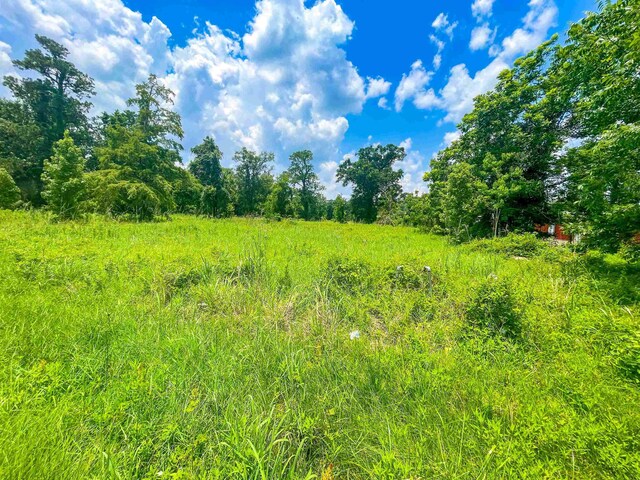 205 Archie, Vidor, TX 77662