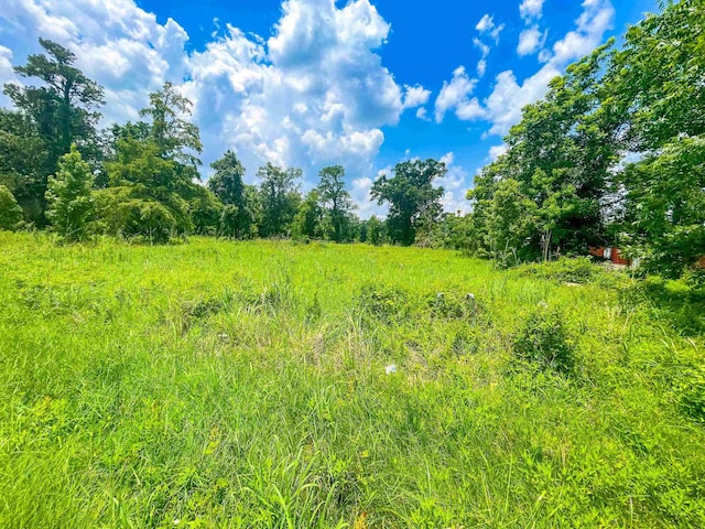 205 Archie, Vidor, TX 77662 - photo 3