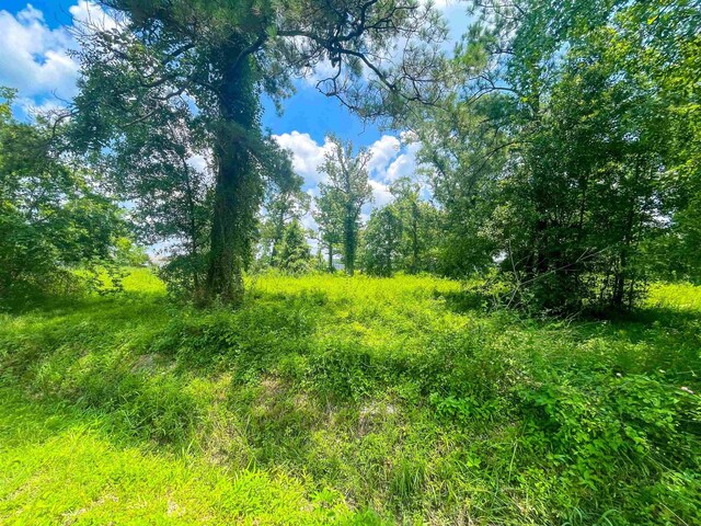 205 Archie, Vidor, TX 77662