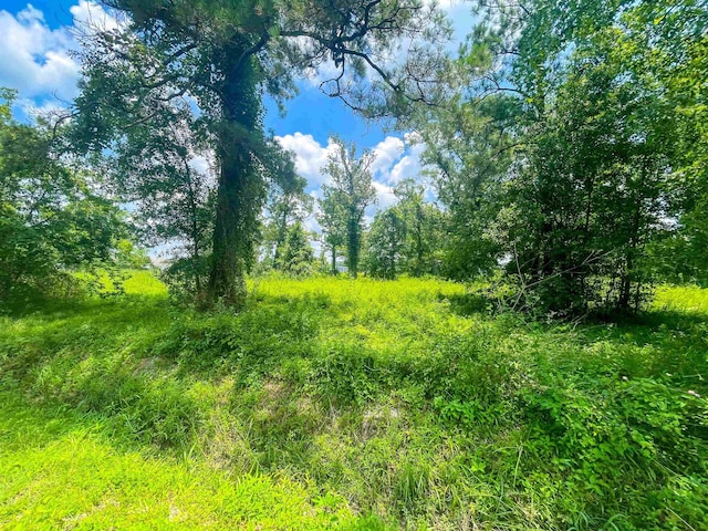 205 Archie, Vidor, TX 77662 - photo 9