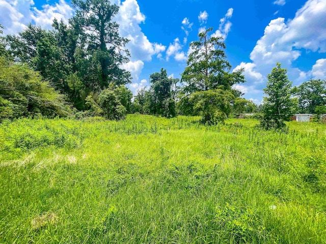 205 Archie, Vidor, TX 77662 - photo 2