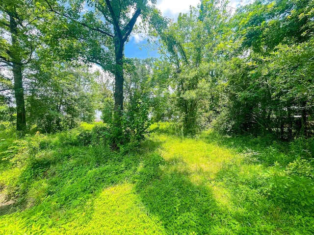 205 Archie, Vidor, TX 77662 - photo 5