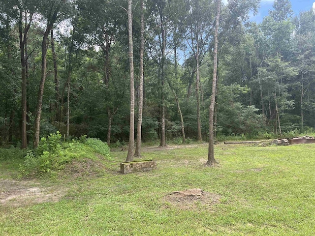246 Raider Ln, Lumberton, TX 77657 - photo 23