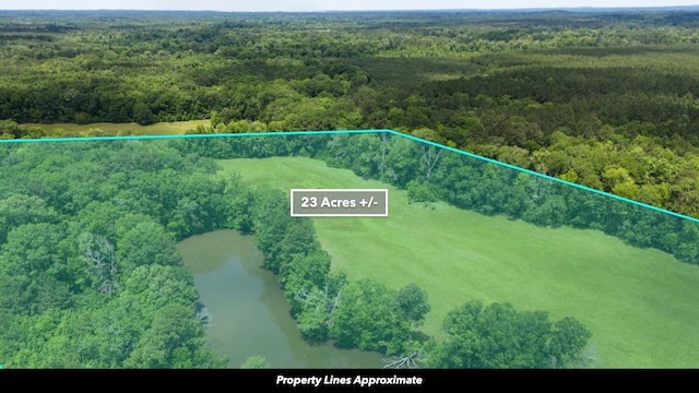 0 Beckom Rd, Hemphill, TX 75948 - photo 35