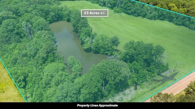 0 Beckom Rd, Hemphill, TX 75948 - photo 34