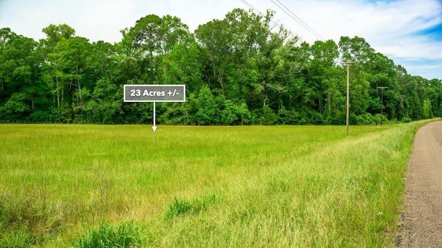 0 Beckom Rd, Hemphill, TX 75948 - photo 32