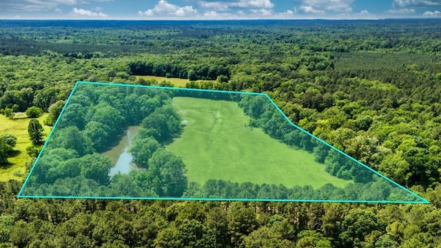 0 Beckom Rd, Hemphill, TX 75948 - photo 2