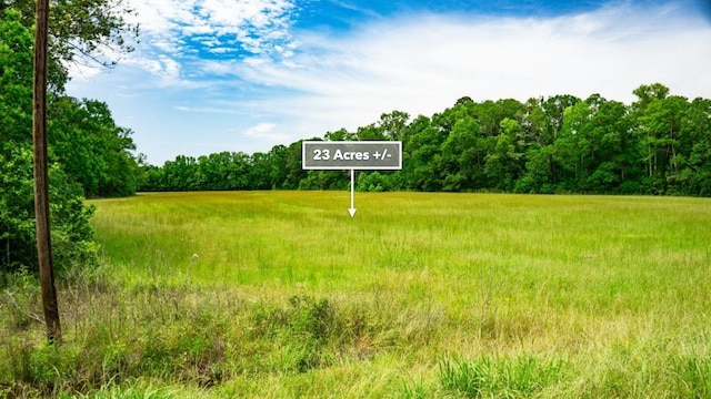 0 Beckom Rd, Hemphill, TX 75948 - photo 29