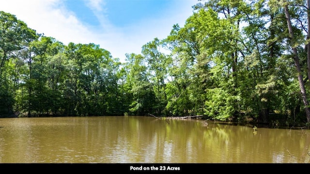 0 Beckom Rd, Hemphill, TX 75948 - photo 6