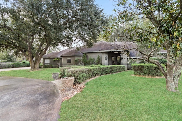 ranch-style house featuring a front yard