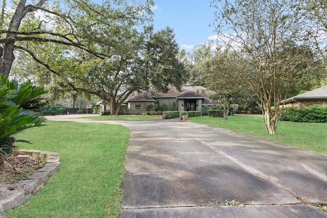 view of front of home with a front yard