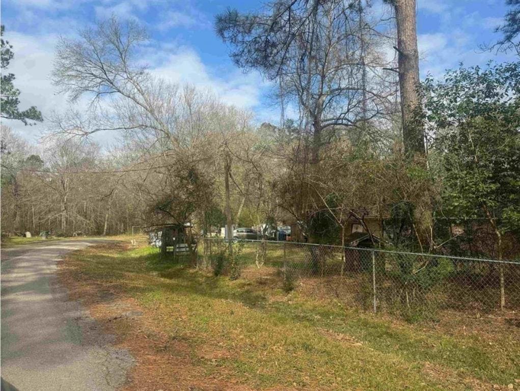 10570 Martha Ln, Beaumont, TX 77713 - view of road