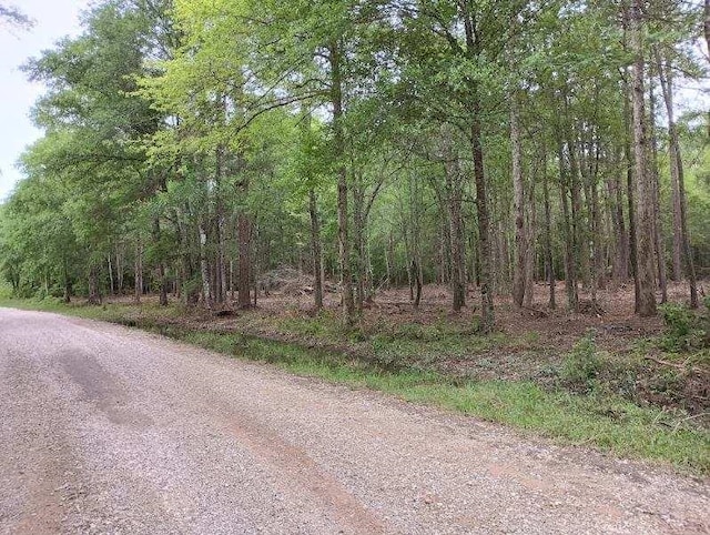 0 County Road 459, Kirbyville TX, 75956 land for sale