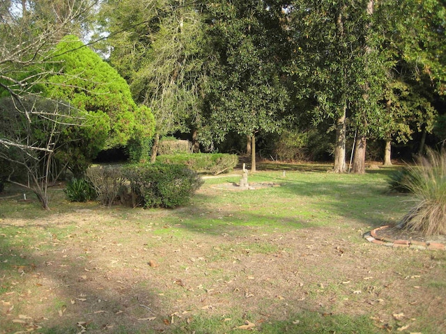 506 Cypress Bnd, Village Mills, TX 77663 - photo 21