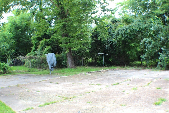 3575 Magnolia Ave, Beaumont, TX 77703 - view of yard
