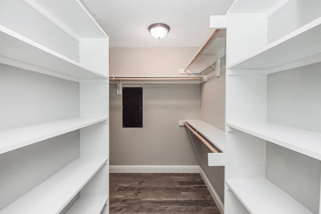 walk in closet with dark hardwood / wood-style floors