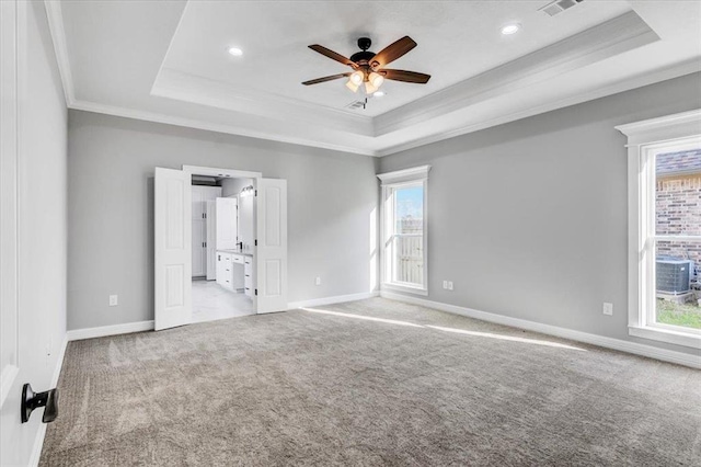 unfurnished room with carpet flooring and a raised ceiling