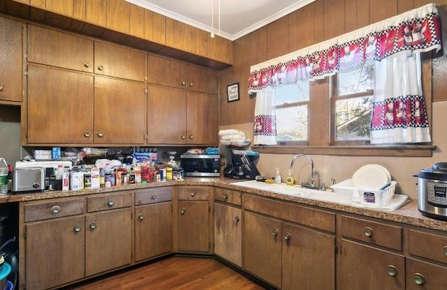 kitchen featuring dark hardwood / wood-style flooring, crown molding, and sink